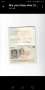 Passaporto di Elisabeth Daine 