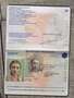 documento sicuramente falso
